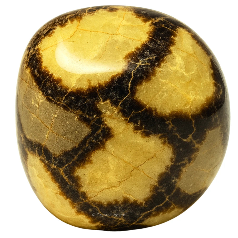 Tumbled Septarian Stones (30 Gram)