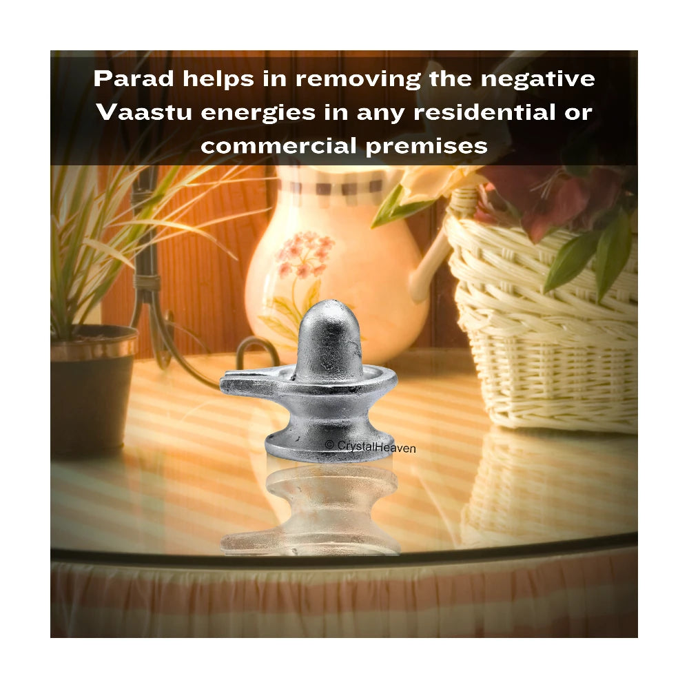 Shivling Parad Idol (24 Gram, 1 Inch)