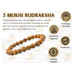 Rudraksha Bracelet (Elastic)