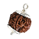 6 Mukhi Rudraksha Pendant (Silver)