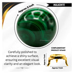 Malachite Sphere (2 Inch)