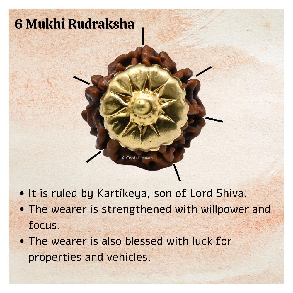 6 Mukhi Rudraksha Pendant (Gold)
