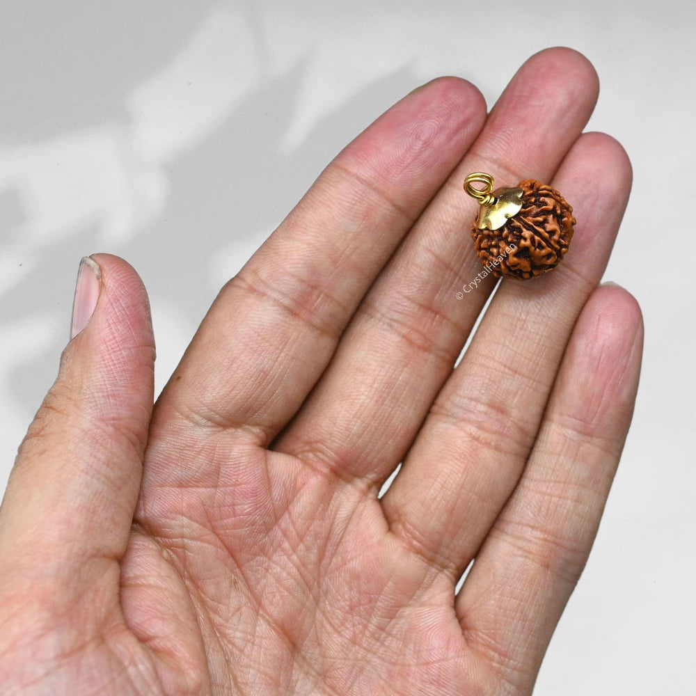 7 Mukhi Rudraksha Pendant (Gold)
