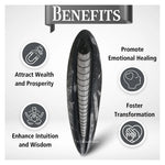 Kuber Stone To Heal Financial Issues (3-4 Inch)