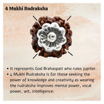4 Mukhi Rudraksha Pendant (Silver)