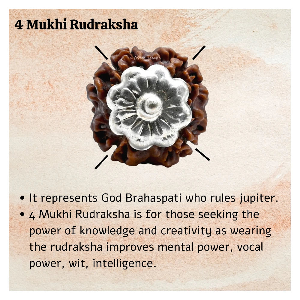 4 Mukhi Rudraksha Pendant (Silver)