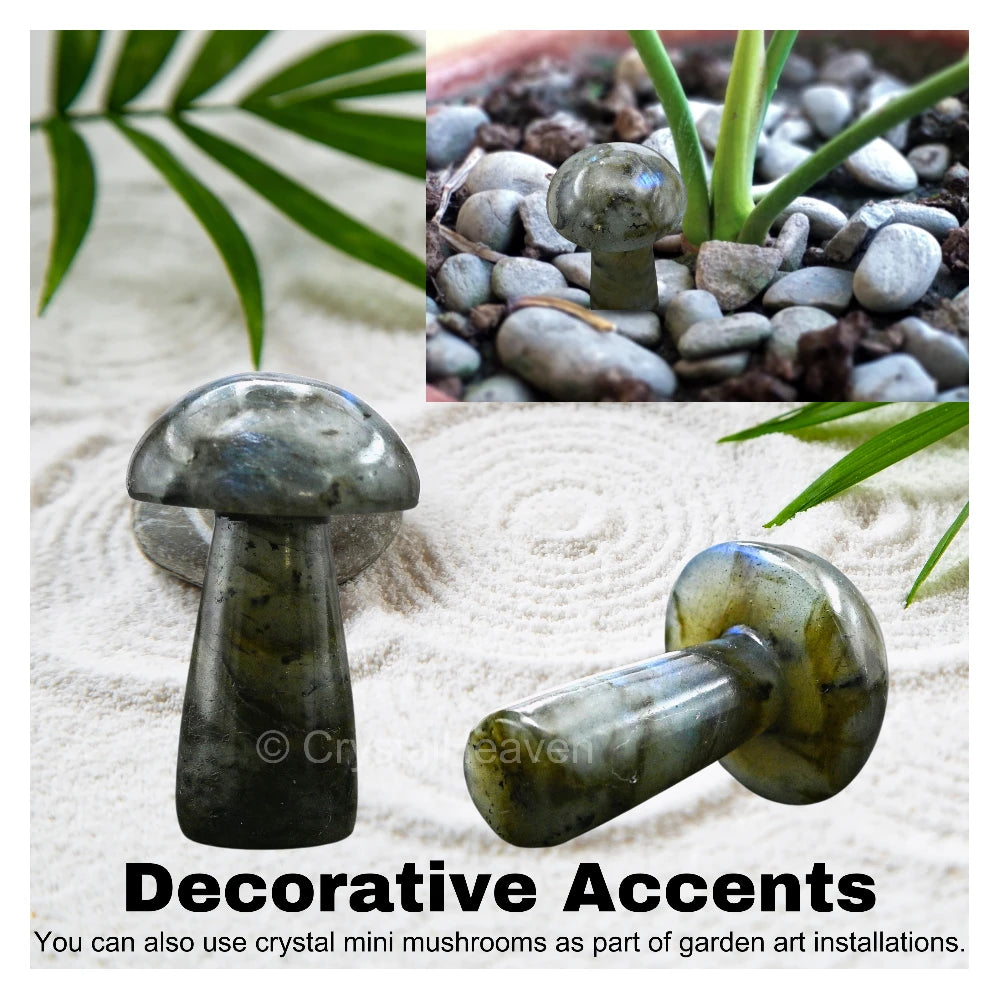 Labradorite Mushroom