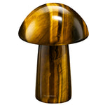 Tiger Eye Mushroom
