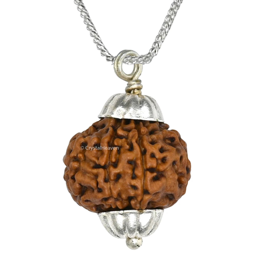8 Mukhi Rudraksha Pendant (Silver)
