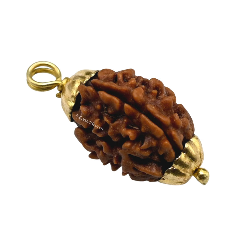 3 Mukhi Rudraksha Pendant (Gold)