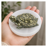 Natural Pyrite Tortoise Kachhua with Selenite Plate