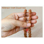 Original Rudraksha Mala (10 mm) (Hand Knotted)