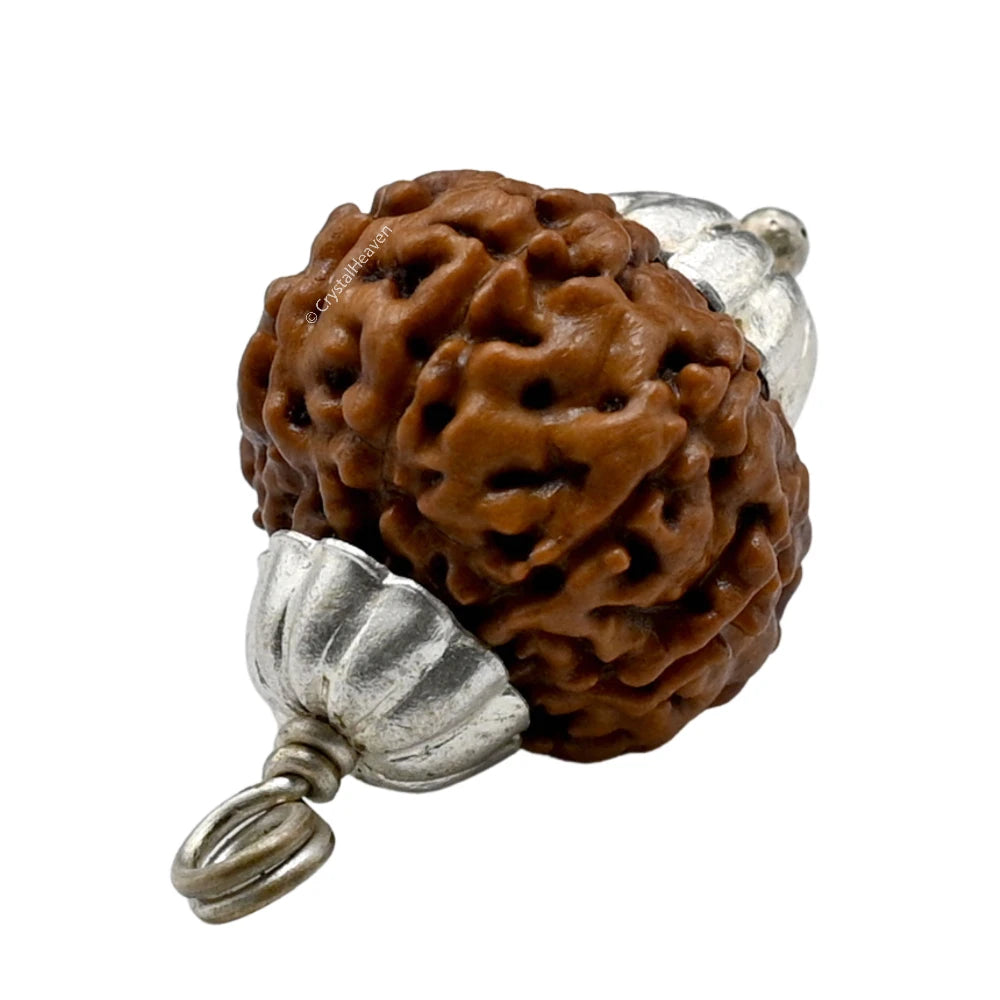 8 Mukhi Rudraksha Pendant (Silver)