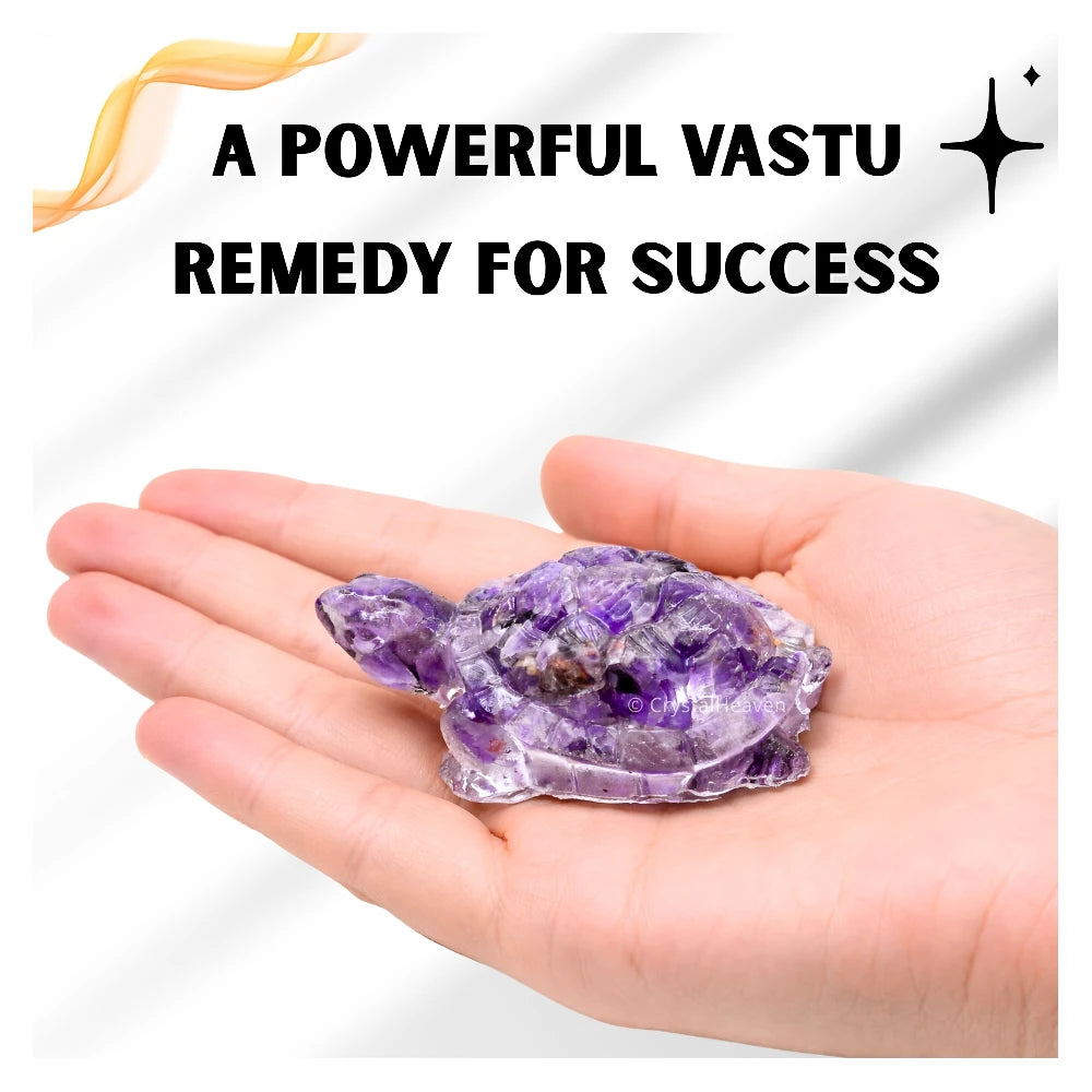 Amethyst Tortoise Kachhua