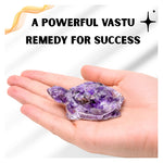 Amethyst Tortoise Kachhua