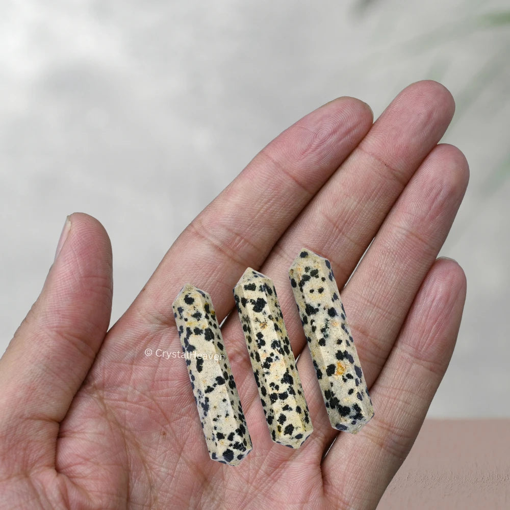 Dalmatian Jasper Pencil Points (Double Terminated) (Set of 50)