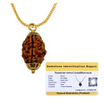 3 Mukhi Rudraksha Pendant (Gold)