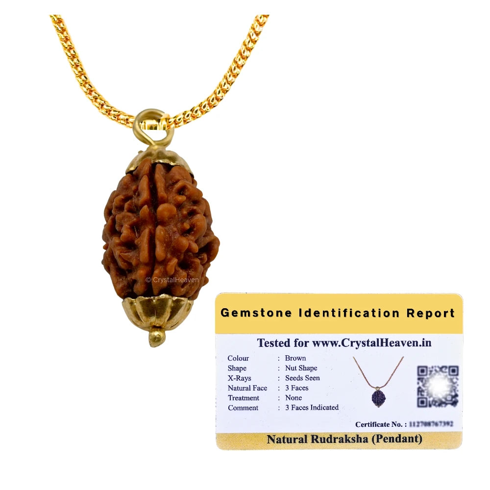 3 Mukhi Rudraksha Pendant (Gold)