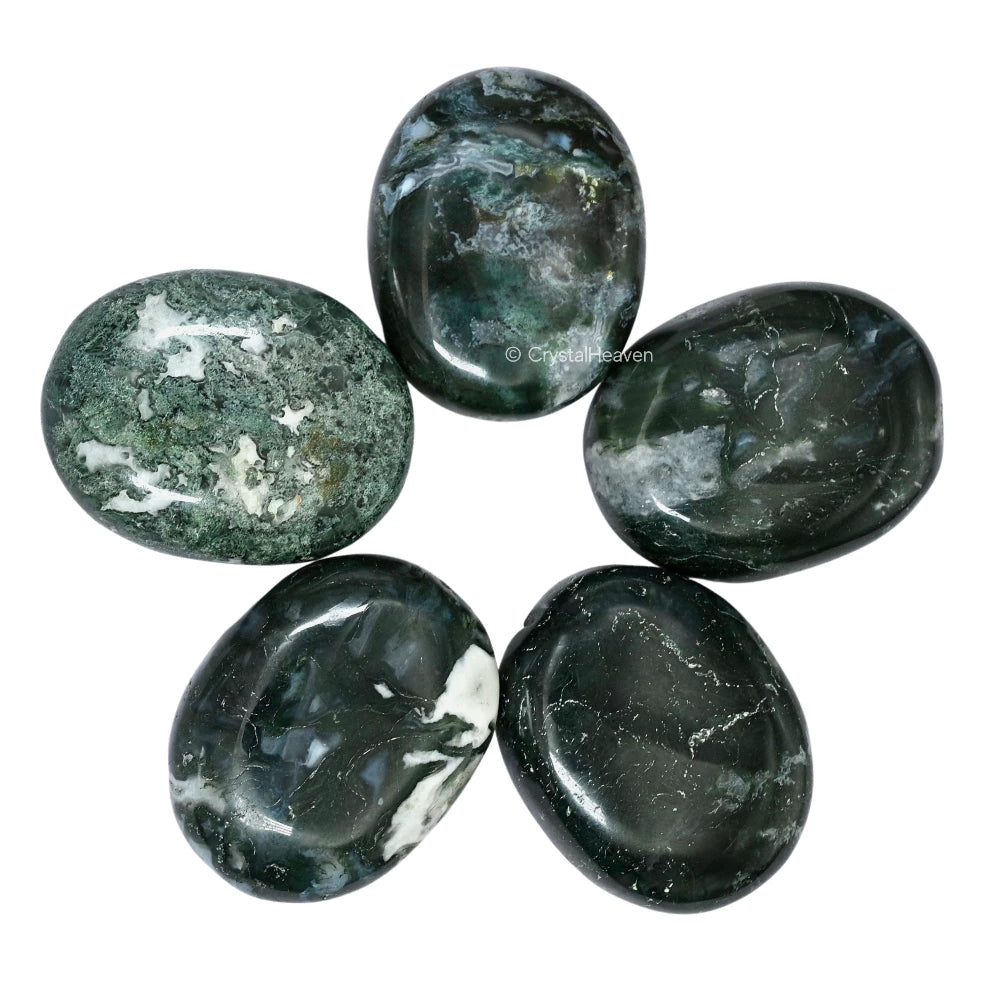 Moss Agate Palm Stone