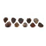 Fancy Jasper Arrowhead - 1" to 1.5" (20 Pieces)