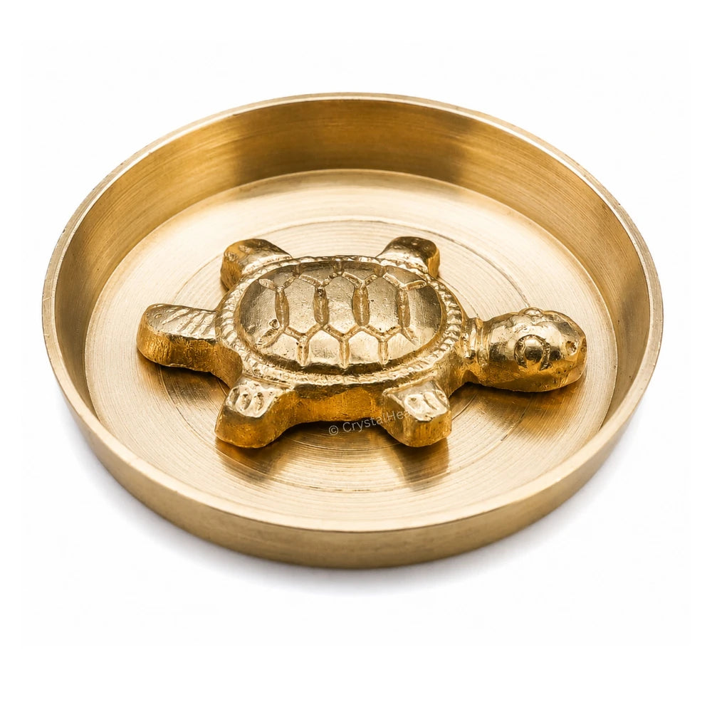 Tortoise with Plate Bass Idol Figurine (75 Gram, 2.5 Inch)