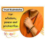 Rudraksha Bracelet (Classic Gold Chain)