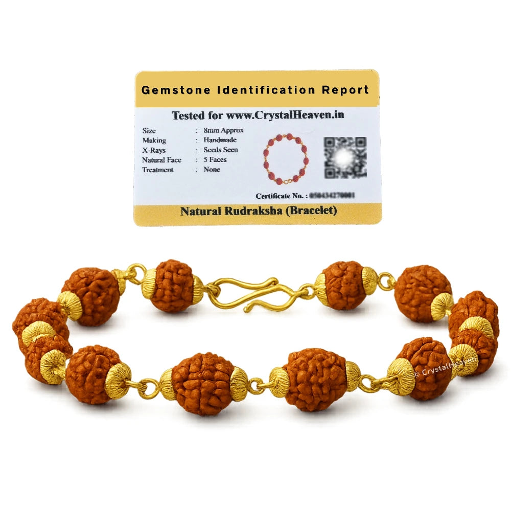 8mm Rudraksha Bracelet (Gold Chain)