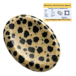 Dalmatian Jasper Worry Stone
