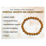 Rudraksha Bracelet (Elastic)