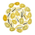 Kodi Cowrie Shell