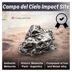 Meteorite Specimen - Campo del Cielo