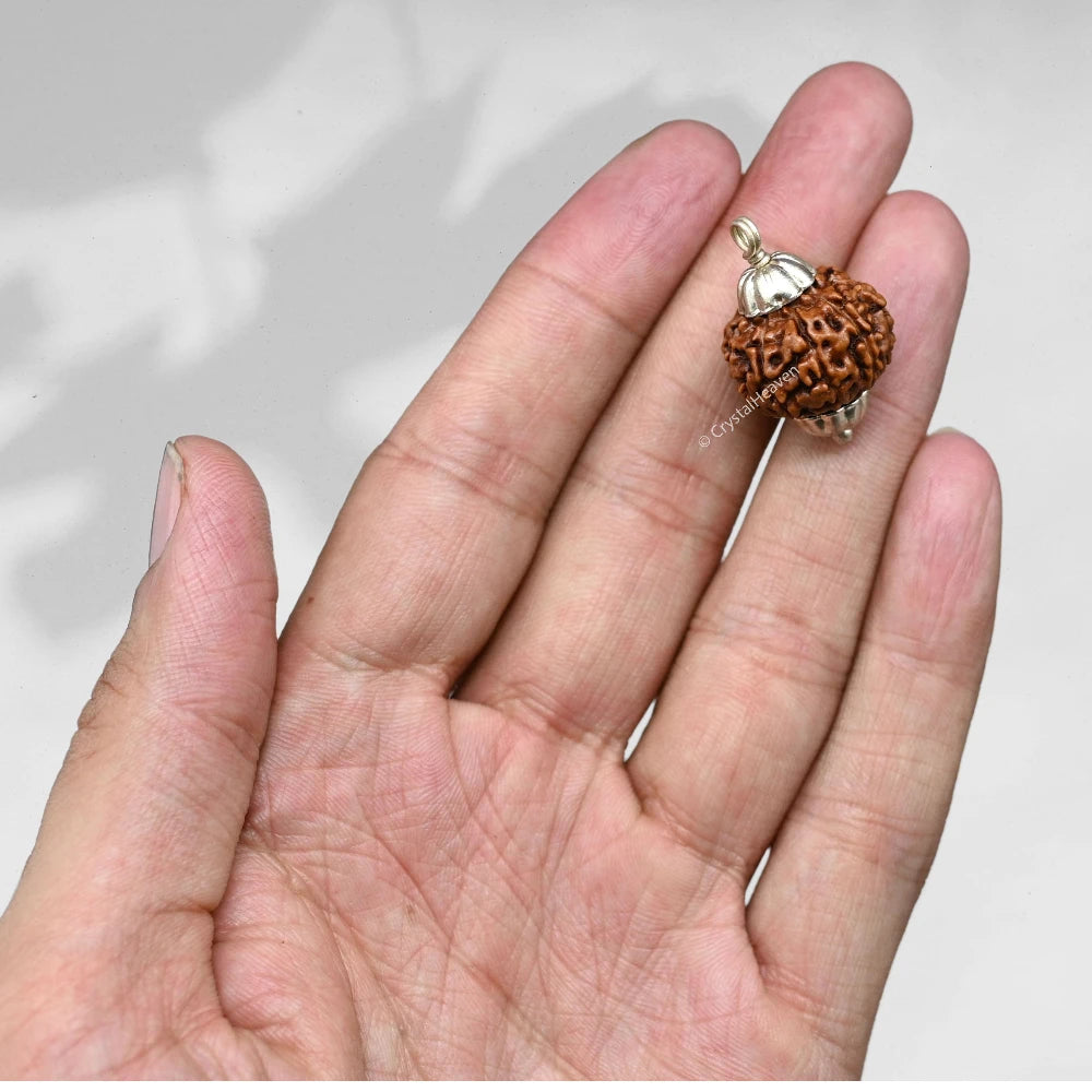 9 Mukhi Rudraksha Pendant (Silver)