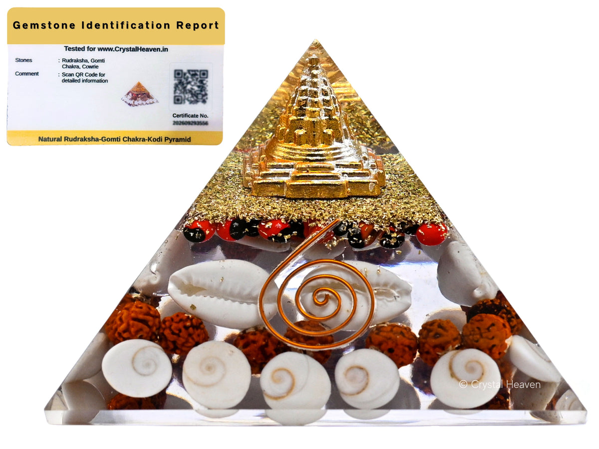 Laxmi Wealth Pyramid - Shree Yantra, Gomati Chakra, Rudraksha, Kodi (Regular)