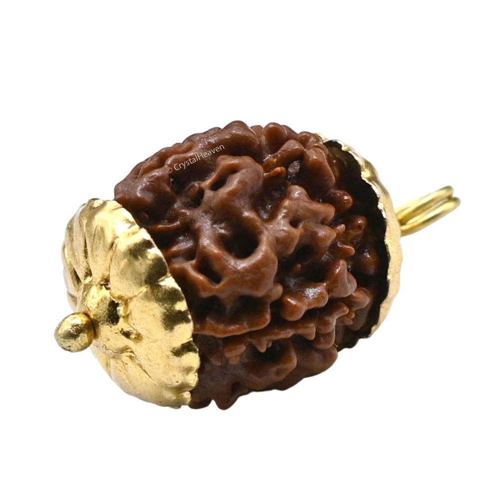 4 Mukhi Rudraksha Pendant (Gold)