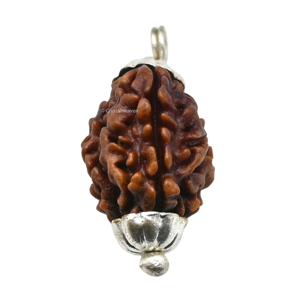 3 Mukhi Rudraksha Pendant (Silver)