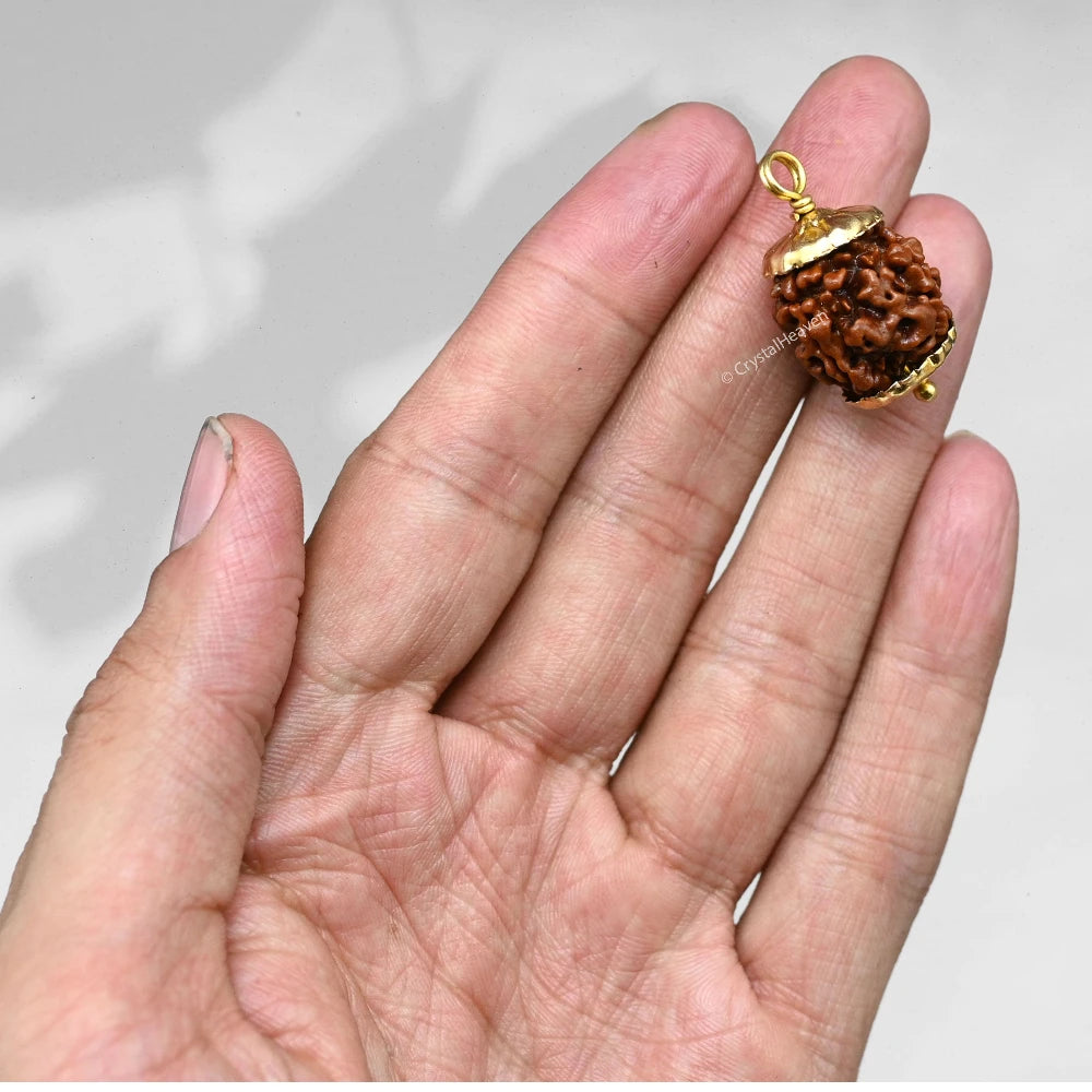 4 Mukhi Rudraksha Pendant (Gold)