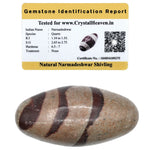 Narmadeshwar Shivling (Unpolished) (1-1.5 Inch)