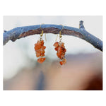 Carnelian Crystal Earrings (Gold)