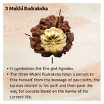 3 Mukhi Rudraksha Pendant (Gold)