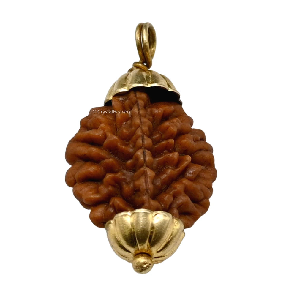 2 Mukhi Rudraksha Pendant (Gold)