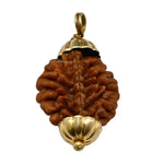 2 Mukhi Rudraksha Pendant (Gold)