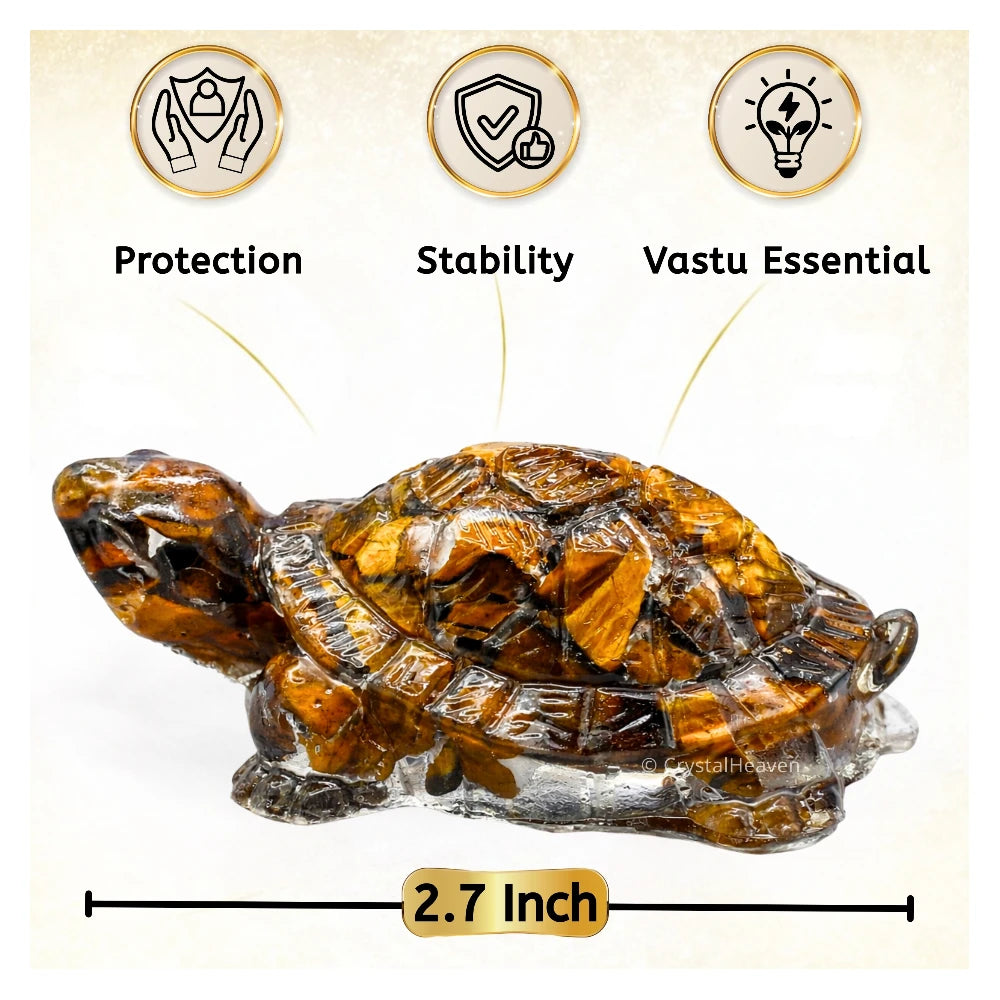 Tiger Eye Tortoise Kachhua
