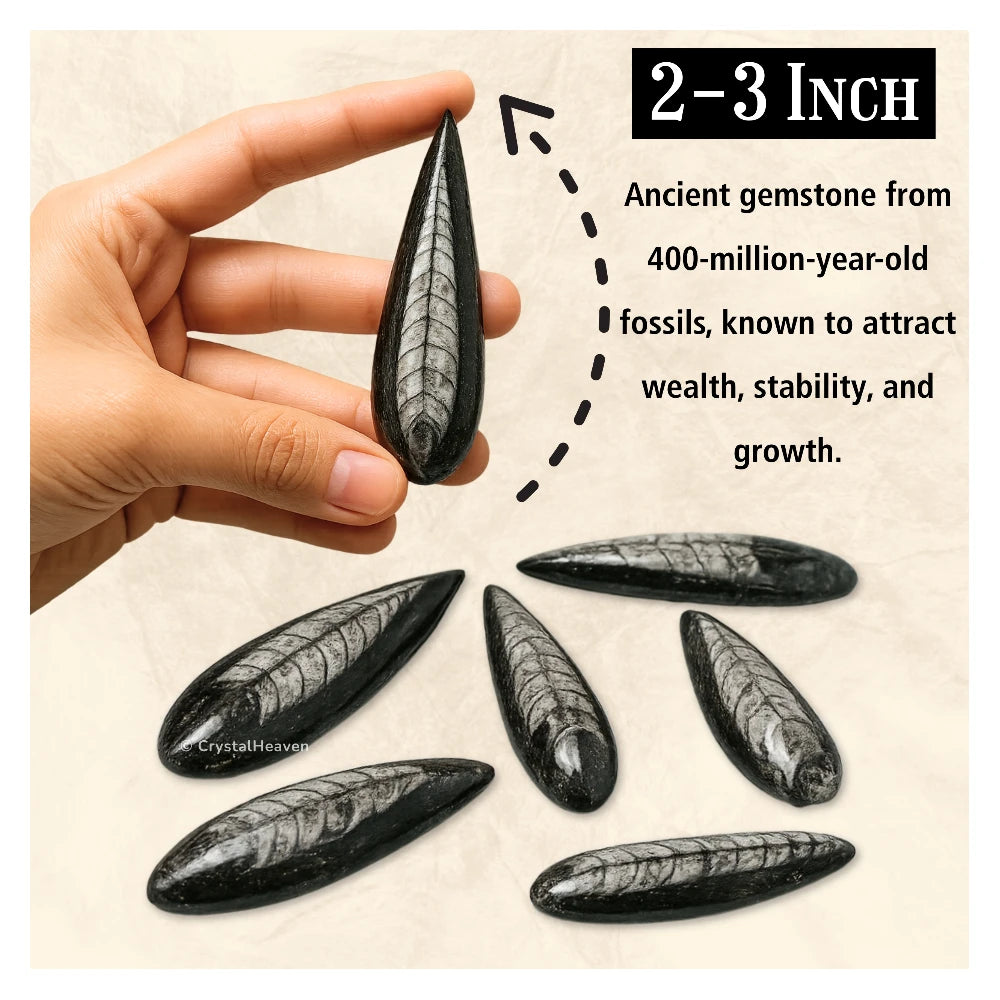 Kuber Stone To Heal Financial Issues (2-3 Inch)