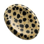 Dalmatian Jasper Worry Stone