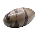 Narmadeshwar Shivling (Unpolished) (1-1.5 Inch)