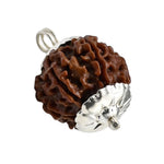 6 Mukhi Rudraksha Pendant (Silver)