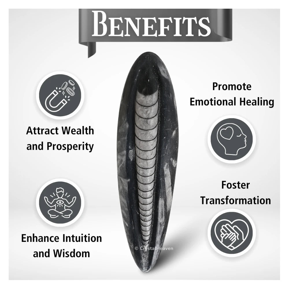 Kuber Stone To Heal Financial Issues (2-3 Inch)