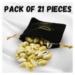 Kodi Cowrie Shell (21 Pieces)