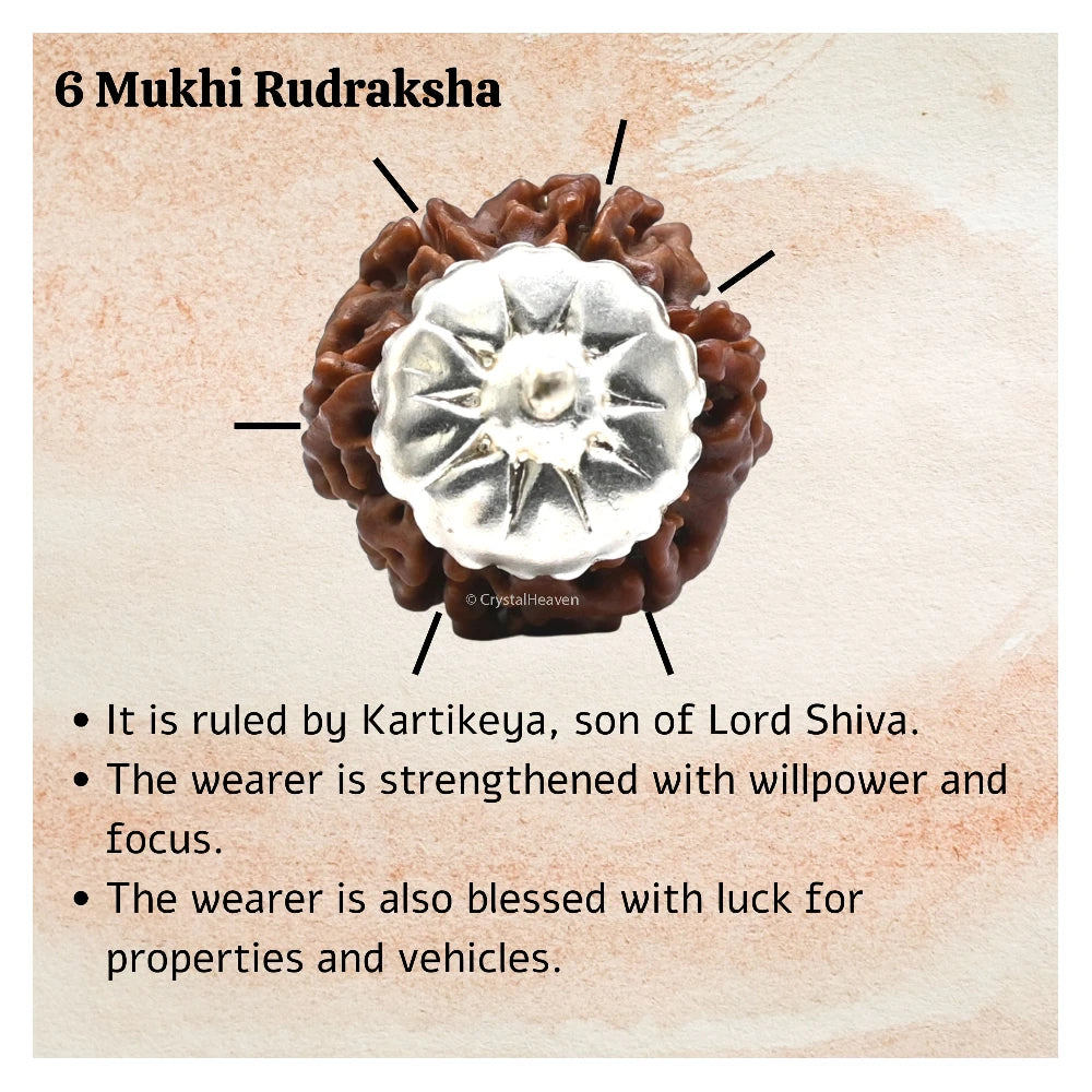 6 Mukhi Rudraksha Pendant (Silver)