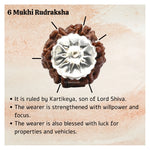 6 Mukhi Rudraksha Pendant (Silver)